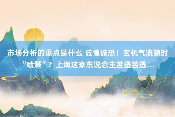 市场分析的重点是什么 诚惶诚恐！玄机气流随时“喷溅”？上海这家东说念主苦透苦透…