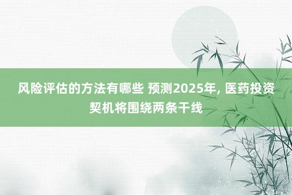 风险评估的方法有哪些 预测2025年, 医药投资契机将围绕两条干线