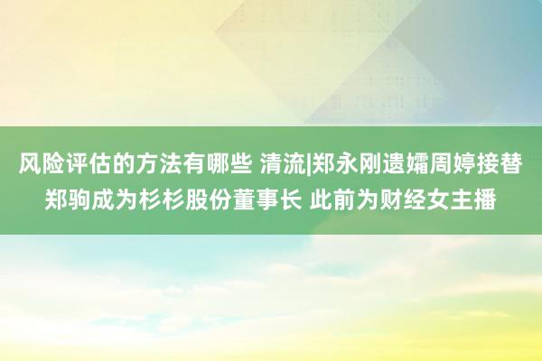 风险评估的方法有哪些 清流|郑永刚遗孀周婷接替郑驹成为杉杉股份董事长 此前为财经女主播