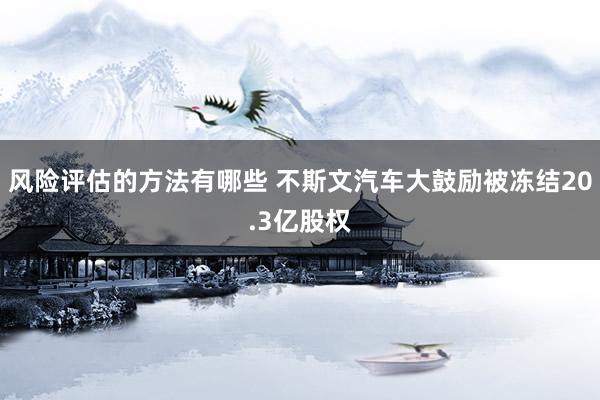 风险评估的方法有哪些 不斯文汽车大鼓励被冻结20.3亿股权