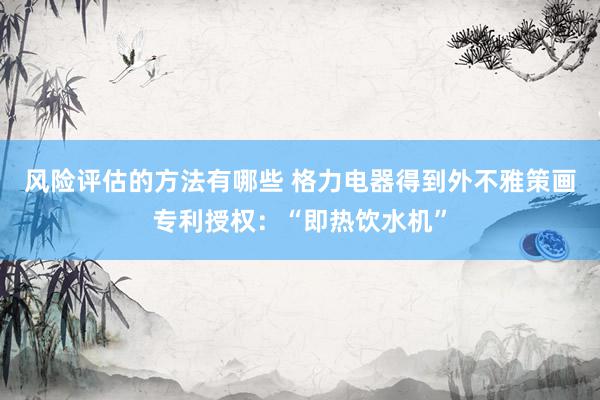 风险评估的方法有哪些 格力电器得到外不雅策画专利授权：“即热饮水机”