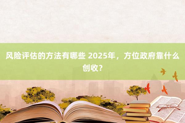 风险评估的方法有哪些 2025年，方位政府靠什么创收？