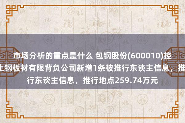 市场分析的重点是什么 包钢股份(600010)控股的内蒙古包