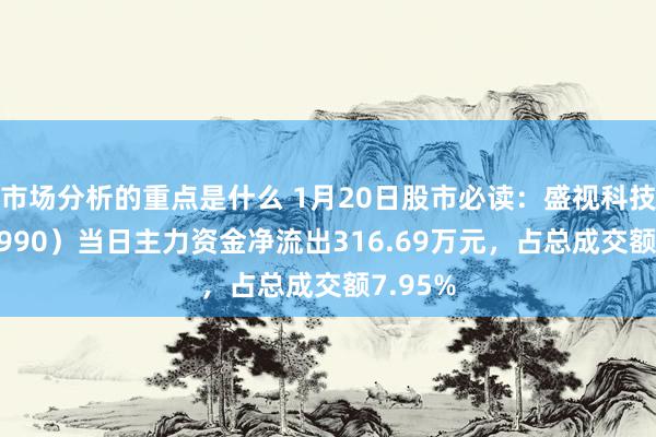 市场分析的重点是什么 1月20日股市必读：盛视科技（002990）当日主力资金净流出316.69万元，占总成交额7.95%