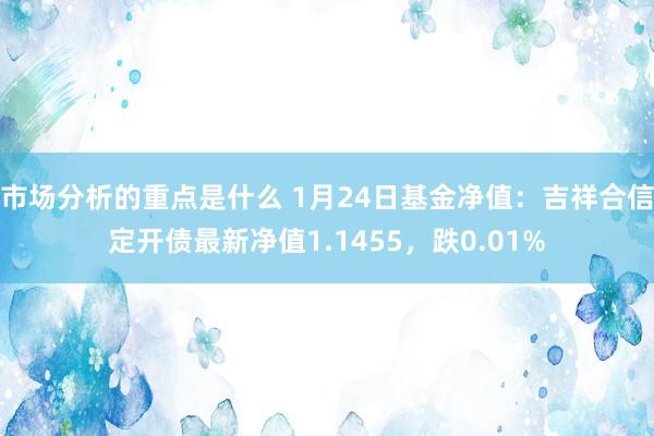 市场分析的重点是什么 1月24日基金净值：吉祥合信定开债最新