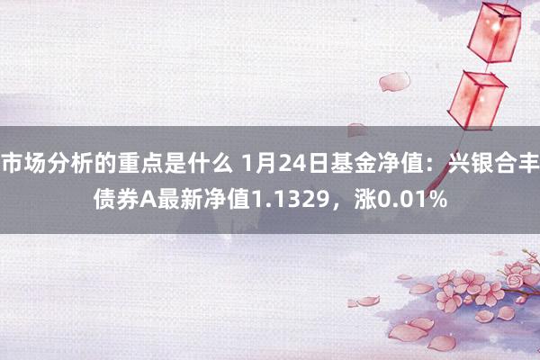 市场分析的重点是什么 1月24日基金净值：兴银合丰债券A最新