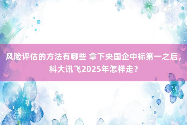 风险评估的方法有哪些 拿下央国企中标第一之后，科大讯飞202