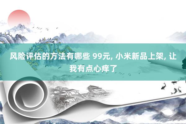 风险评估的方法有哪些 99元, 小米新品上架, 让我有点心痒