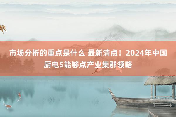 市场分析的重点是什么 最新清点！2024年中国厨电5能够点产