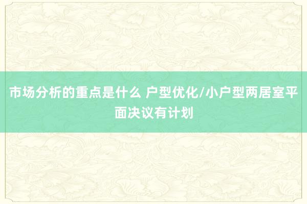 市场分析的重点是什么 户型优化/小户型两居室平面决议有计划