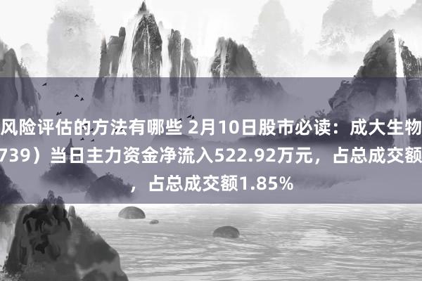 风险评估的方法有哪些 2月10日股市必读：成大生物（688739）当日主力资金净流入522.92万元，占总成交额1.85%