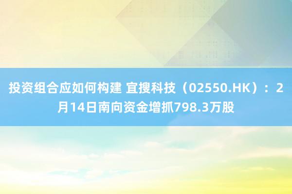 投资组合应如何构建 宜搜科技（02550.HK）：2月14日