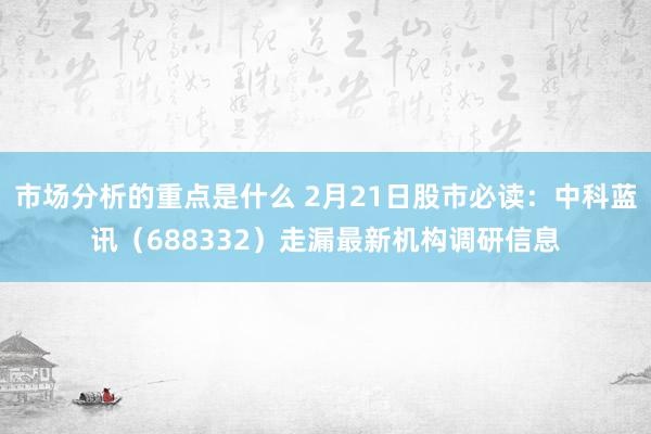 市场分析的重点是什么 2月21日股市必读：中科蓝讯（6883